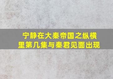 宁静在大秦帝国之纵横里第几集与秦君见面出现