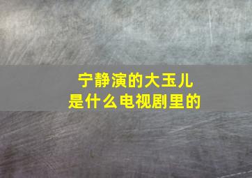 宁静演的大玉儿是什么电视剧里的