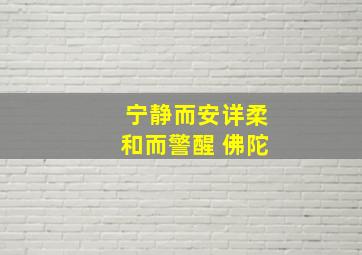 宁静而安详柔和而警醒 佛陀