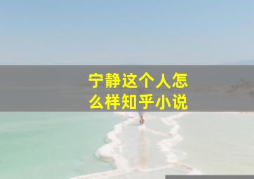 宁静这个人怎么样知乎小说