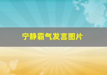 宁静霸气发言图片