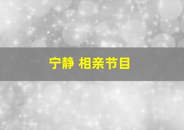 宁静 相亲节目