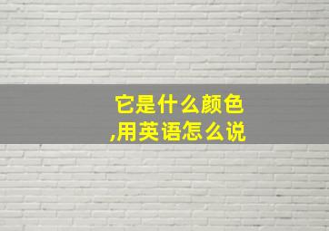 它是什么颜色,用英语怎么说