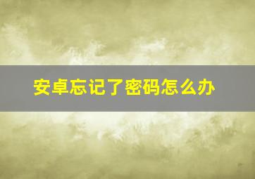 安卓忘记了密码怎么办