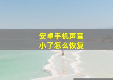 安卓手机声音小了怎么恢复