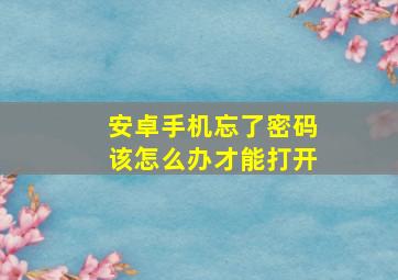 安卓手机忘了密码该怎么办才能打开