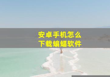 安卓手机怎么下载蝙蝠软件