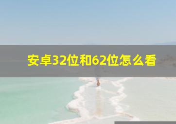 安卓32位和62位怎么看