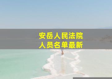 安岳人民法院人员名单最新