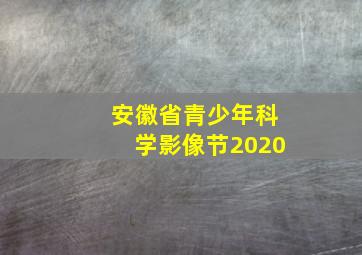 安徽省青少年科学影像节2020