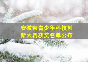 安徽省青少年科技创新大赛获奖名单公布