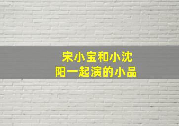 宋小宝和小沈阳一起演的小品