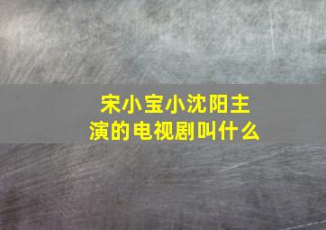 宋小宝小沈阳主演的电视剧叫什么