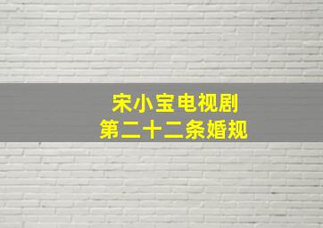 宋小宝电视剧第二十二条婚规