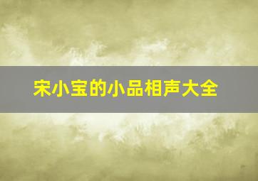 宋小宝的小品相声大全