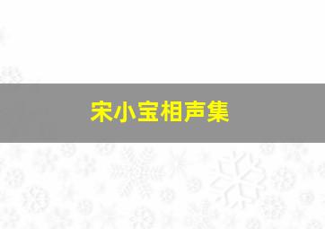 宋小宝相声集