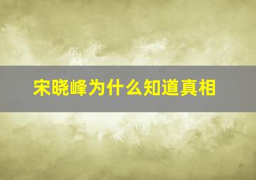 宋晓峰为什么知道真相