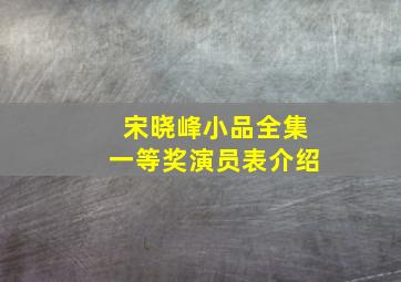 宋晓峰小品全集一等奖演员表介绍