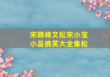 宋晓峰文松宋小宝小品搞笑大全集松