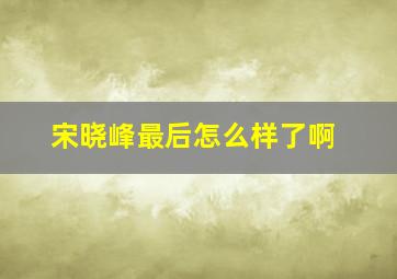 宋晓峰最后怎么样了啊