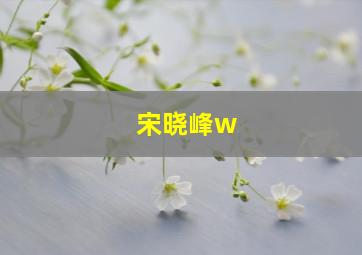 宋晓峰w