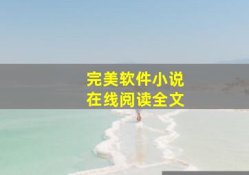 完美软件小说在线阅读全文