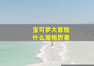 宝可梦大冒险什么宠物厉害