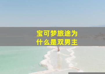 宝可梦旅途为什么是双男主