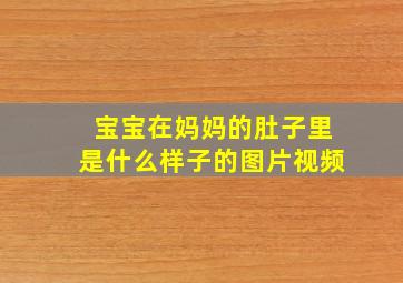 宝宝在妈妈的肚子里是什么样子的图片视频