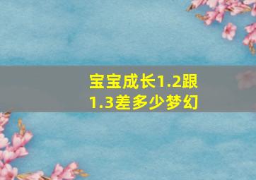 宝宝成长1.2跟1.3差多少梦幻