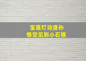 宝莲灯动漫孙悟空见到小石猴