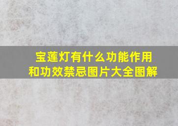 宝莲灯有什么功能作用和功效禁忌图片大全图解