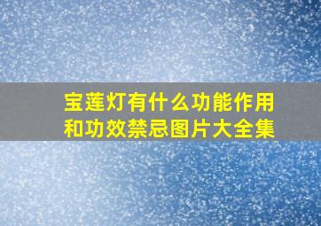 宝莲灯有什么功能作用和功效禁忌图片大全集