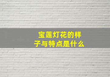 宝莲灯花的样子与特点是什么