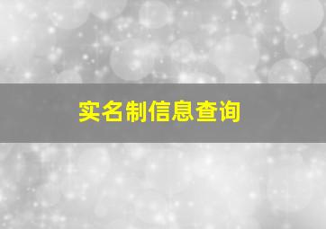 实名制信息查询