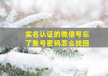 实名认证的微信号忘了账号密码怎么找回