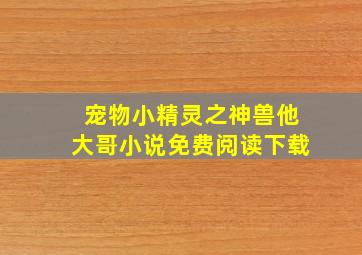 宠物小精灵之神兽他大哥小说免费阅读下载