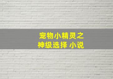 宠物小精灵之神级选择 小说