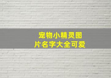 宠物小精灵图片名字大全可爱