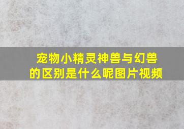 宠物小精灵神兽与幻兽的区别是什么呢图片视频