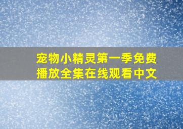 宠物小精灵第一季免费播放全集在线观看中文