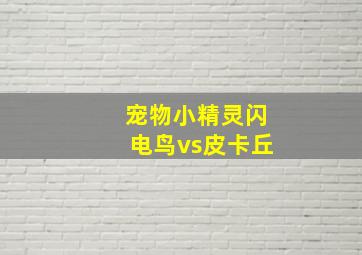 宠物小精灵闪电鸟vs皮卡丘