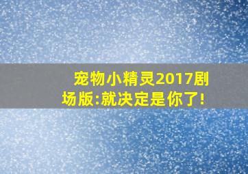 宠物小精灵2017剧场版:就决定是你了!