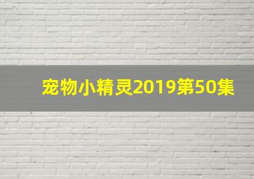 宠物小精灵2019第50集