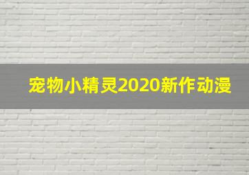 宠物小精灵2020新作动漫