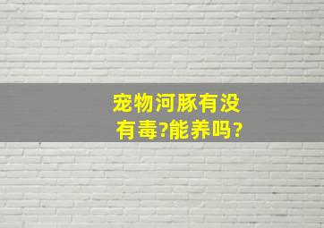 宠物河豚有没有毒?能养吗?