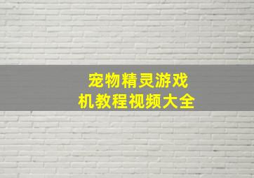 宠物精灵游戏机教程视频大全