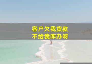 客户欠我货款不给我咋办呀