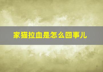 家猫拉血是怎么回事儿