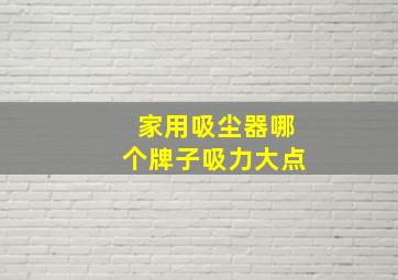 家用吸尘器哪个牌子吸力大点